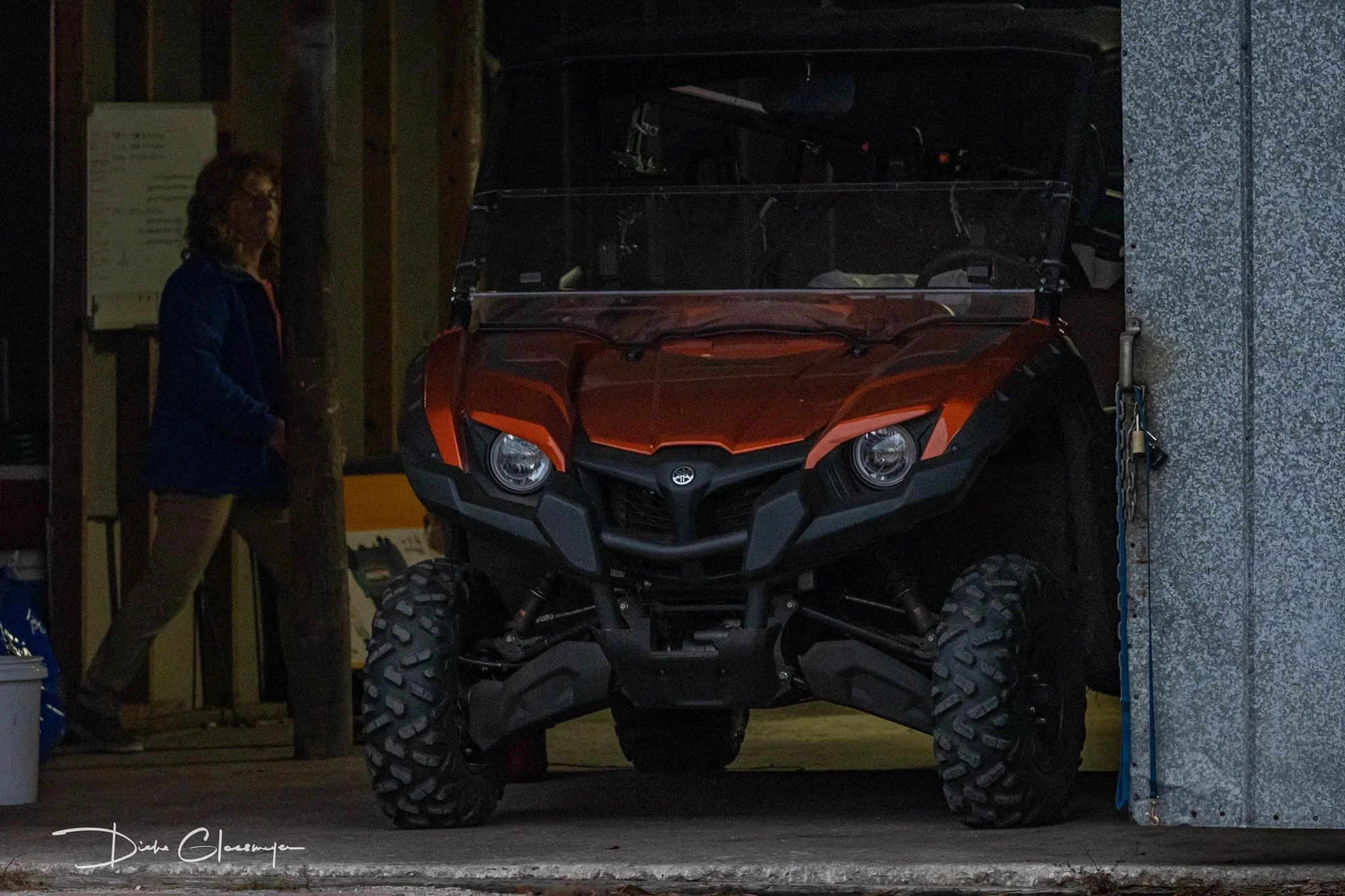 Allison getting the dogs fed and equipment loaded.