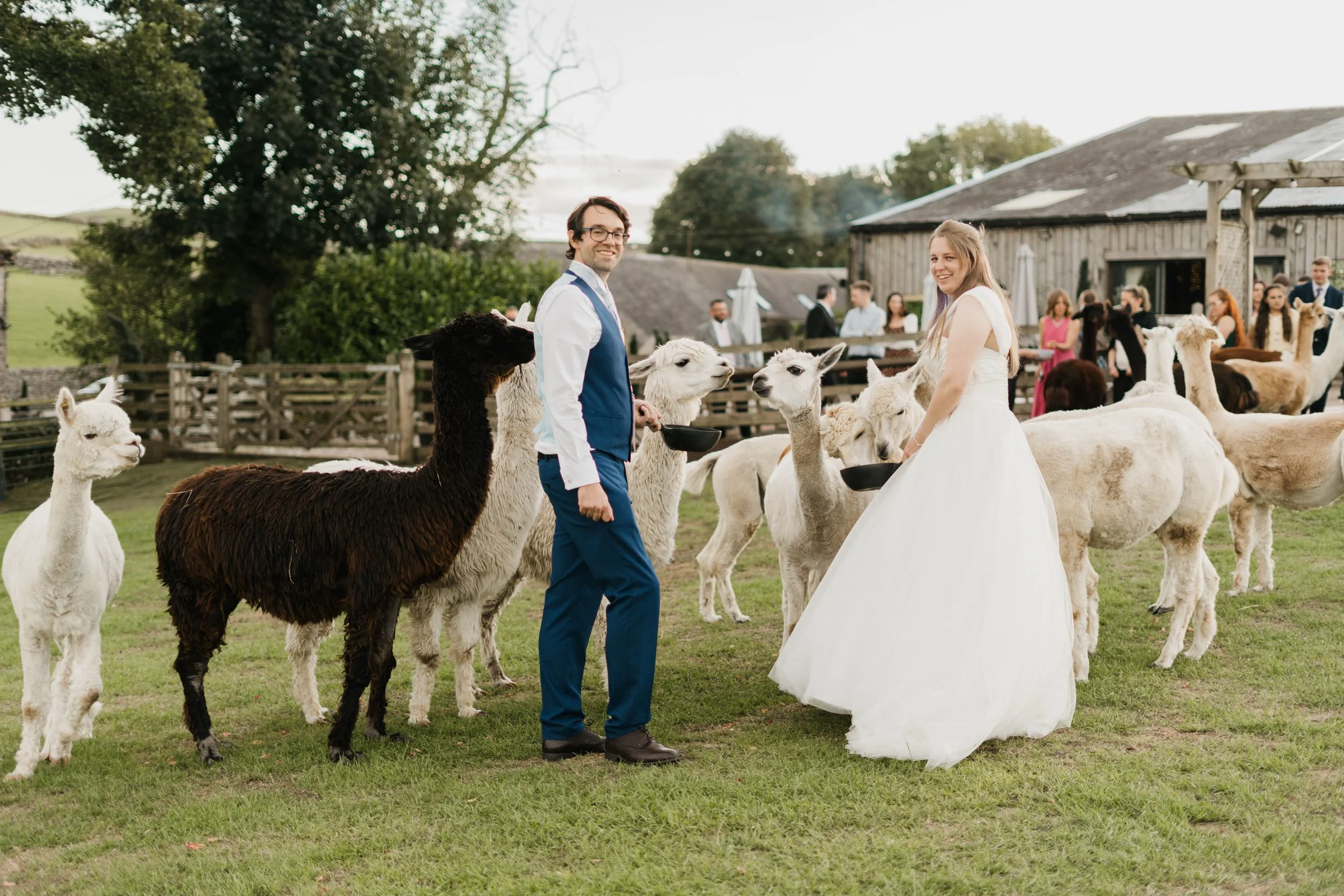 Fran & Jordan Lower Damgate Farm Wedding