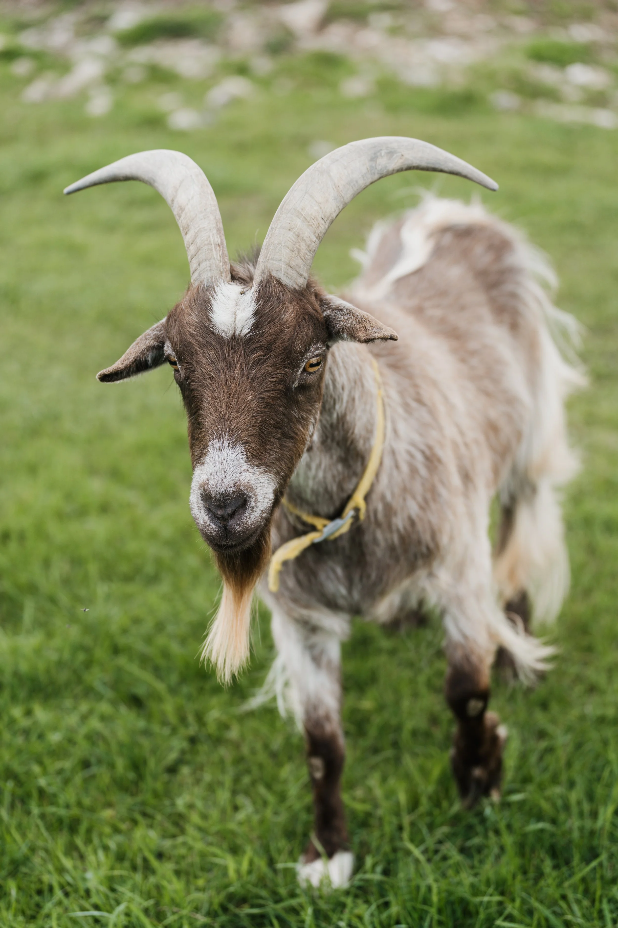 FJPortraits-67.jpg