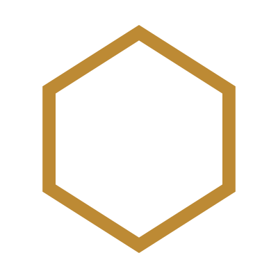Gold hexagon outline on a black background.
