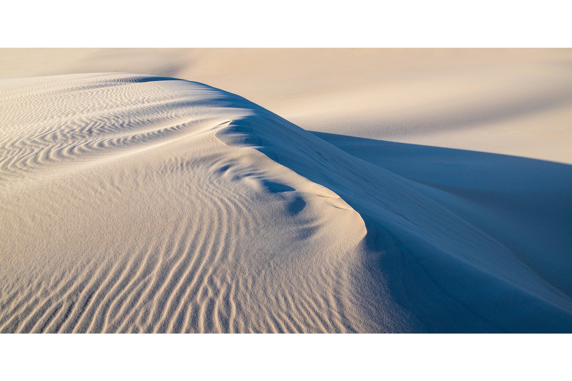 Shop_Dune_Crest.jpg
