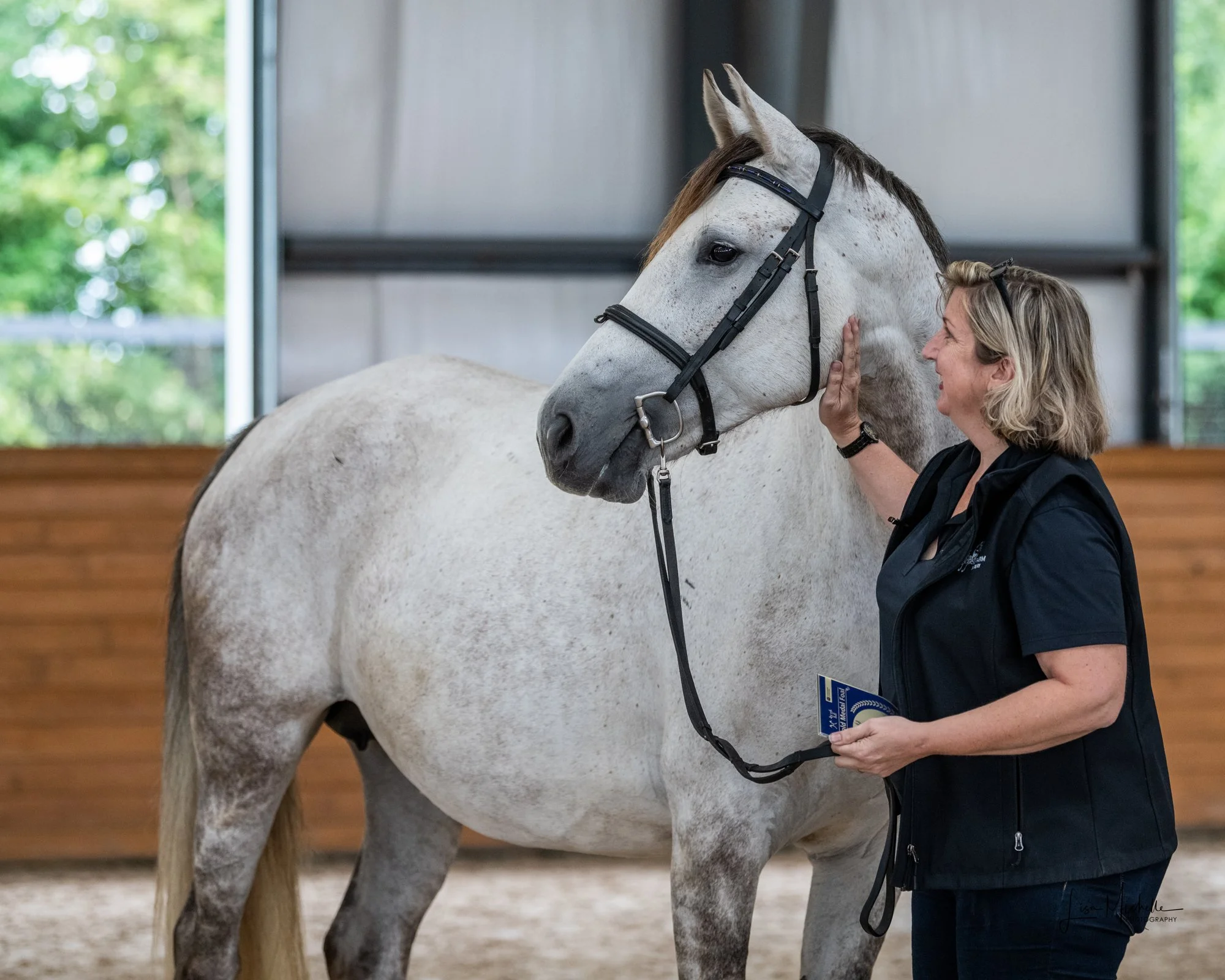 --Sold-- Valedictorian IHF: 8 year old dressage mare