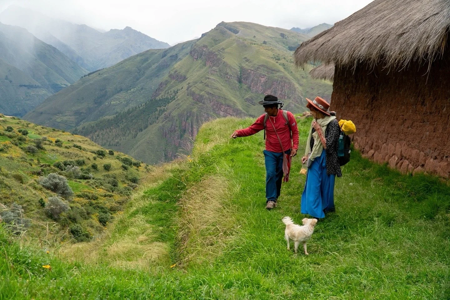Walking Exploring Above the Hacienda Paucartika ⛰️ 🍃 Embark on a guided tour led by knowledgeable Quechua guides, exploring the ancient wonders of the Inca civilization.