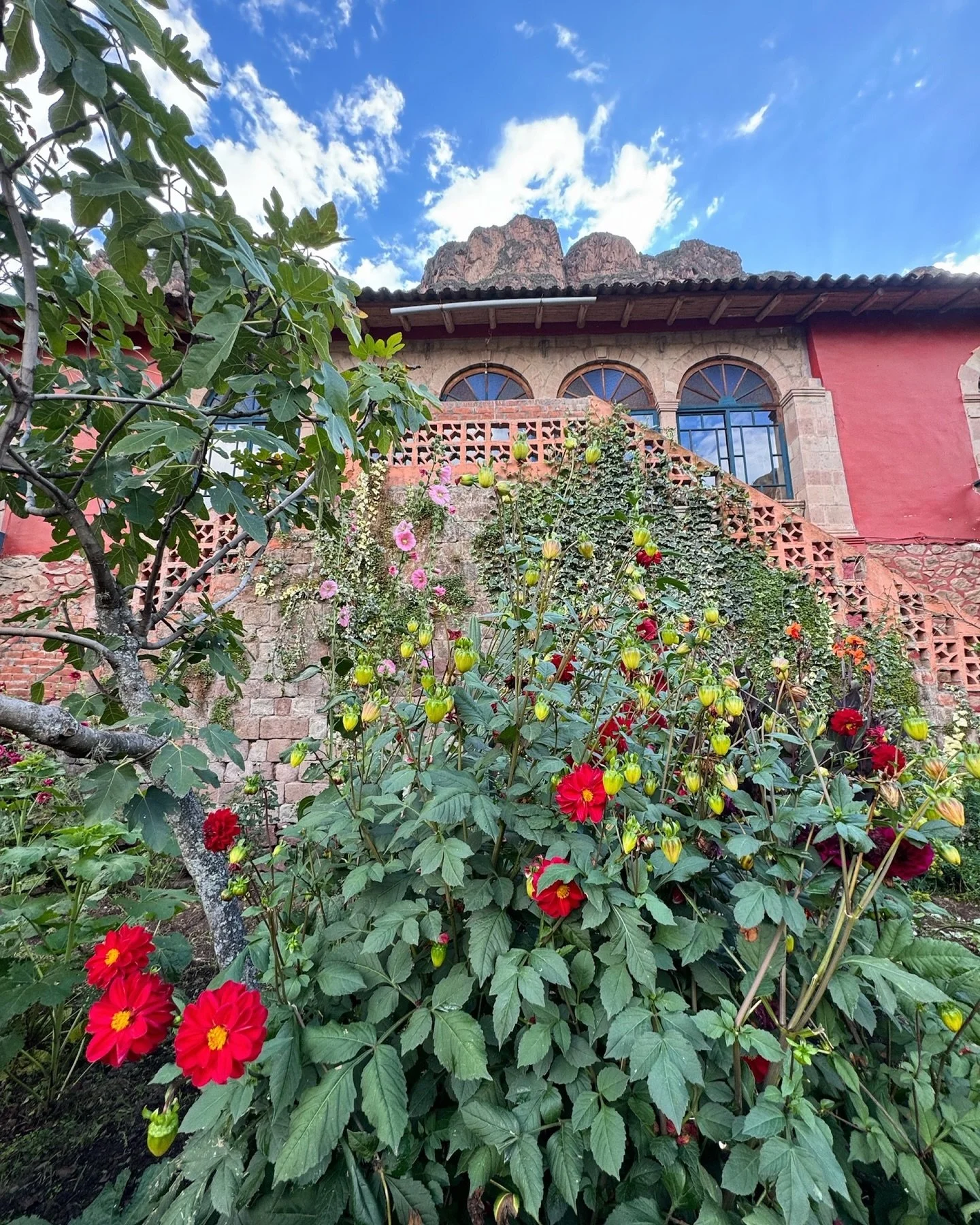 Flowers are in Blooms at Paucartika! 🌺