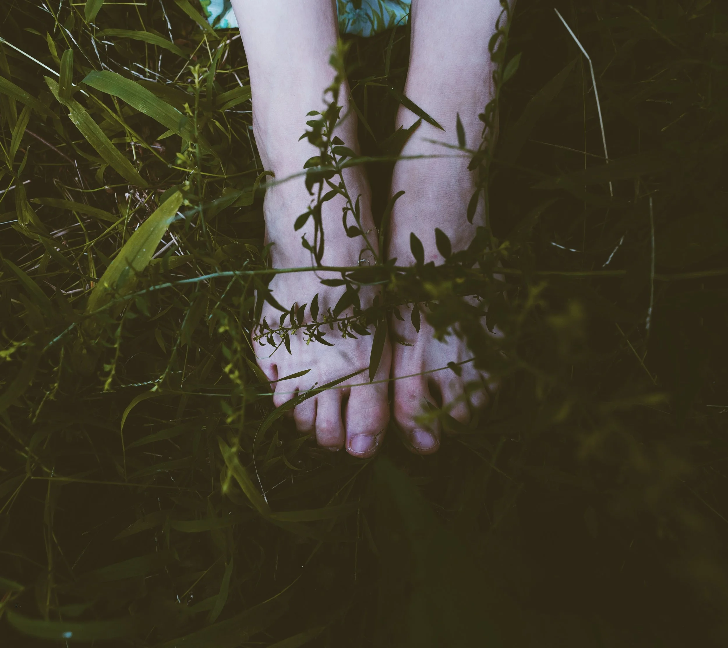 IMG_5186-VSCO.jpeg