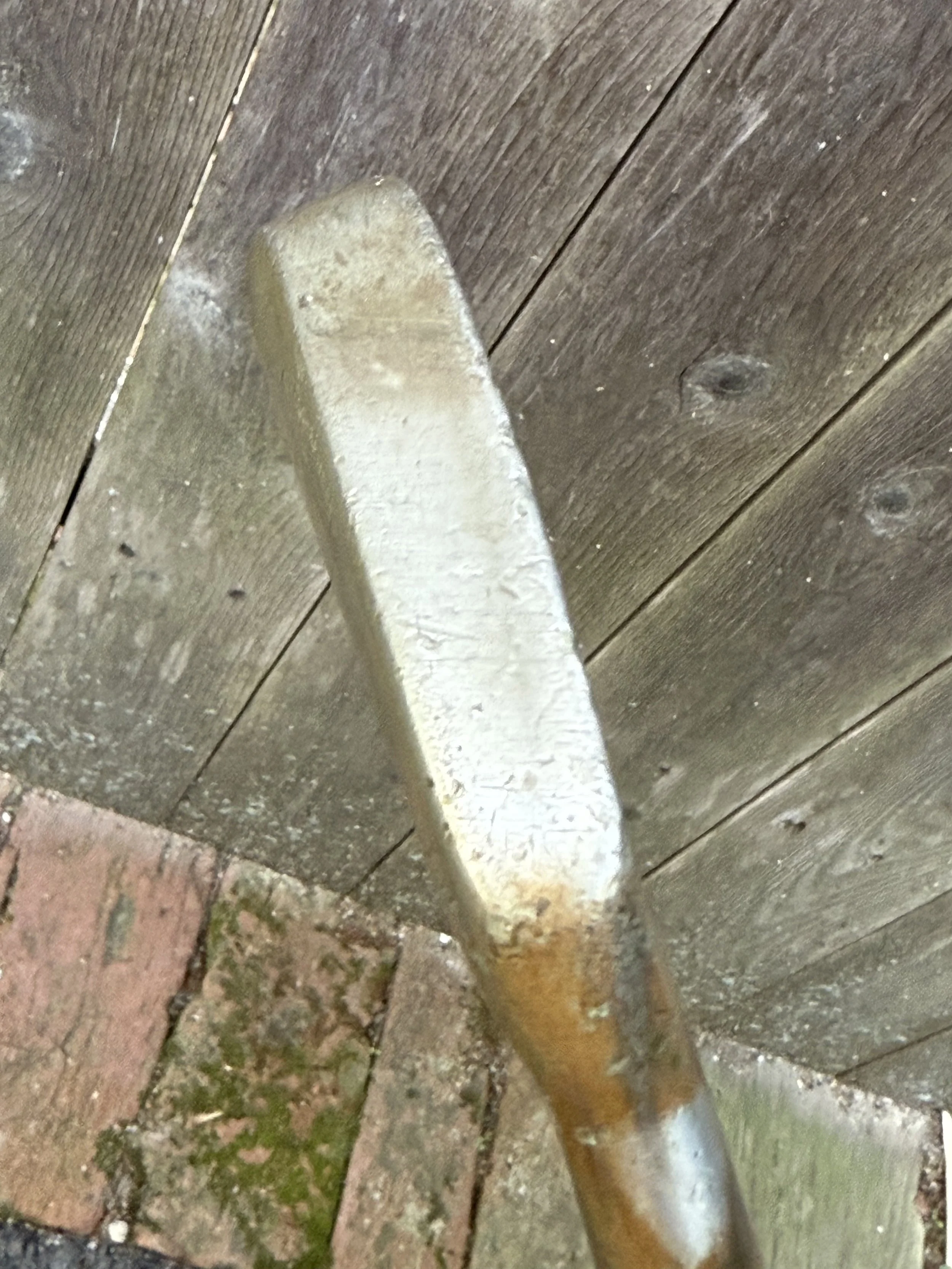 IMG_2962.jpeg