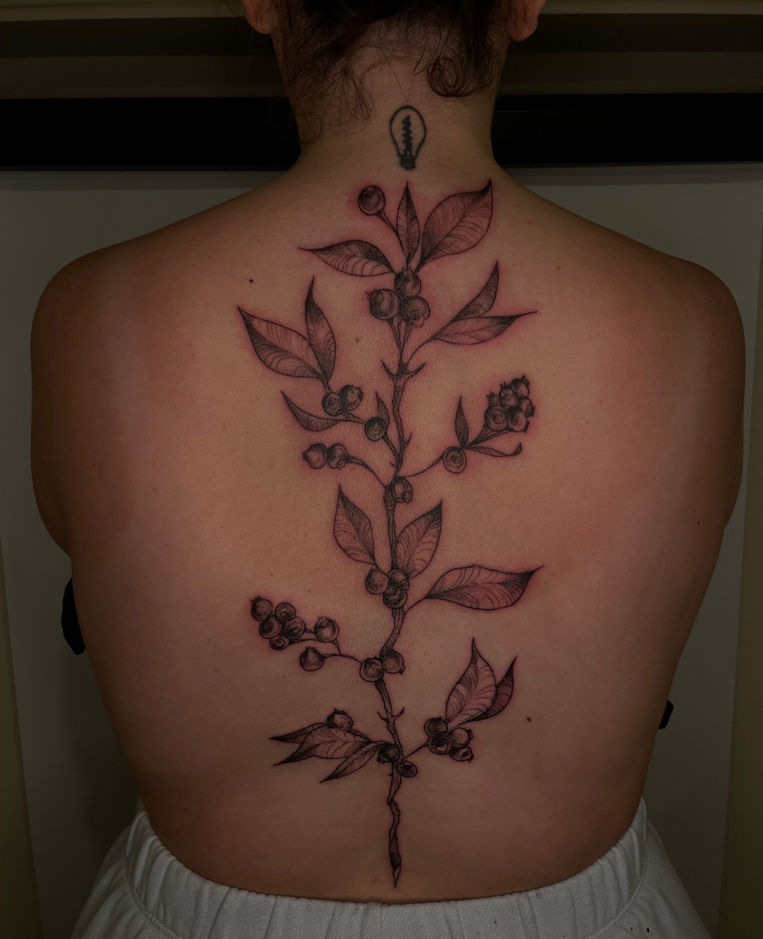 IMG_4408 copy.jpg