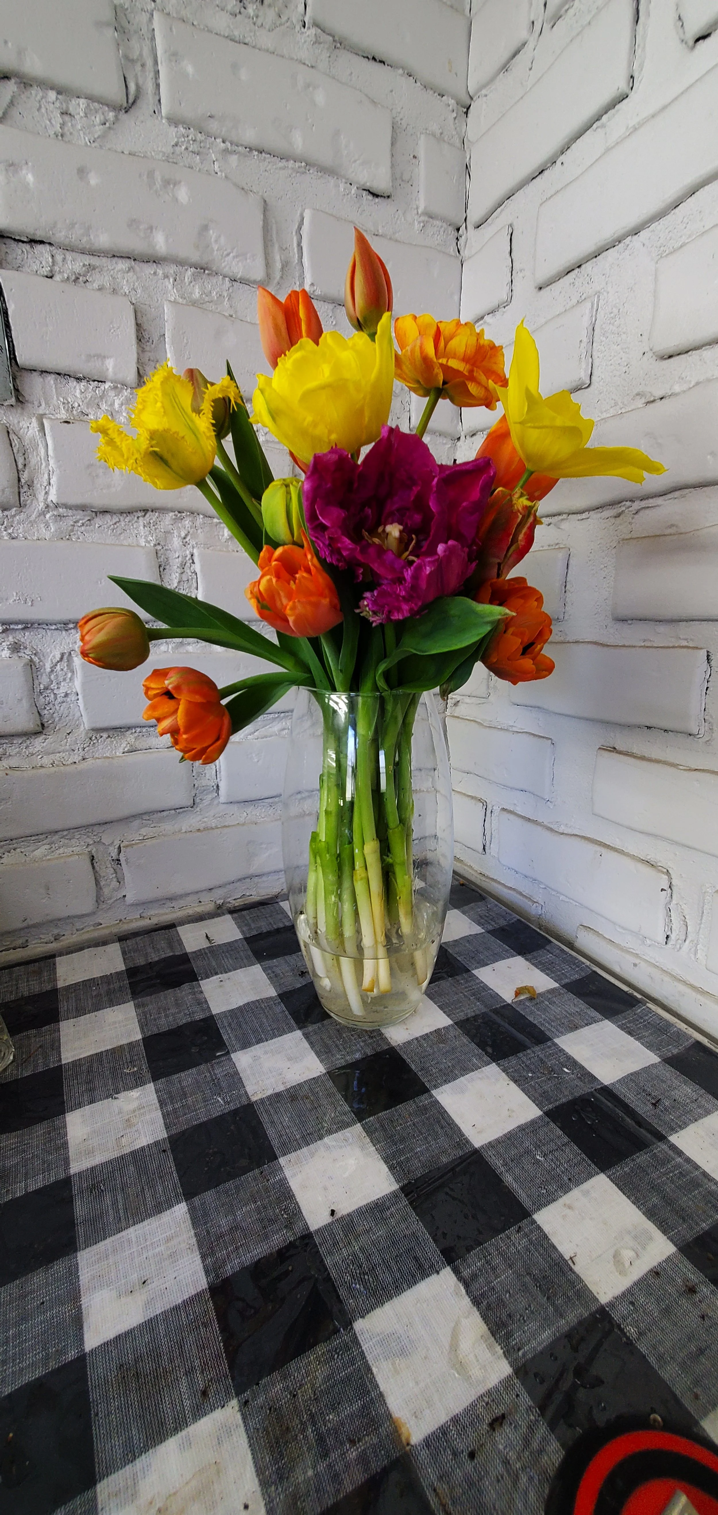 The truth about Tulips!