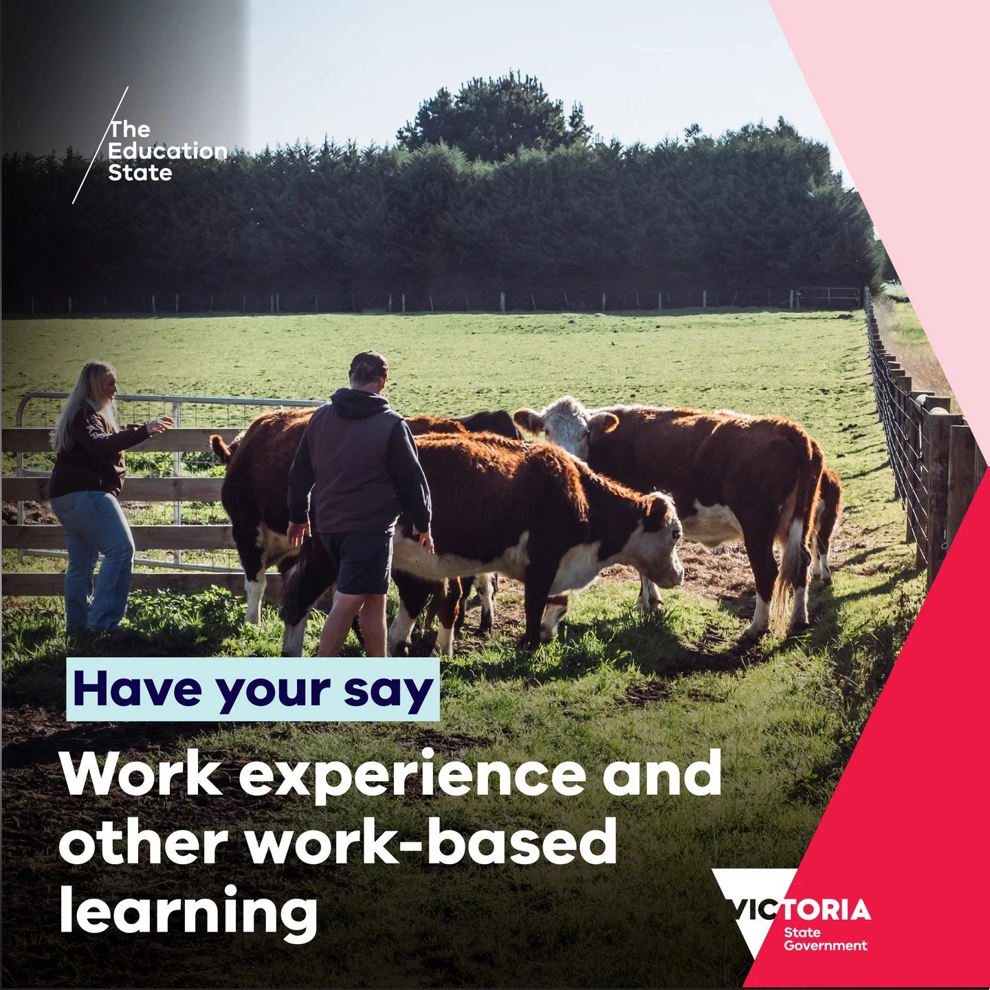 👉 We need your support &ndash; have your say on the future of work experience for young people in Victoria.

Real world learning can be transformative for young people, but not all students can access work experience without support. LLENs help brid