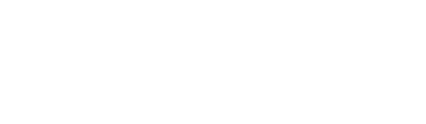 THE HOUSE | LIZARD ISLAND