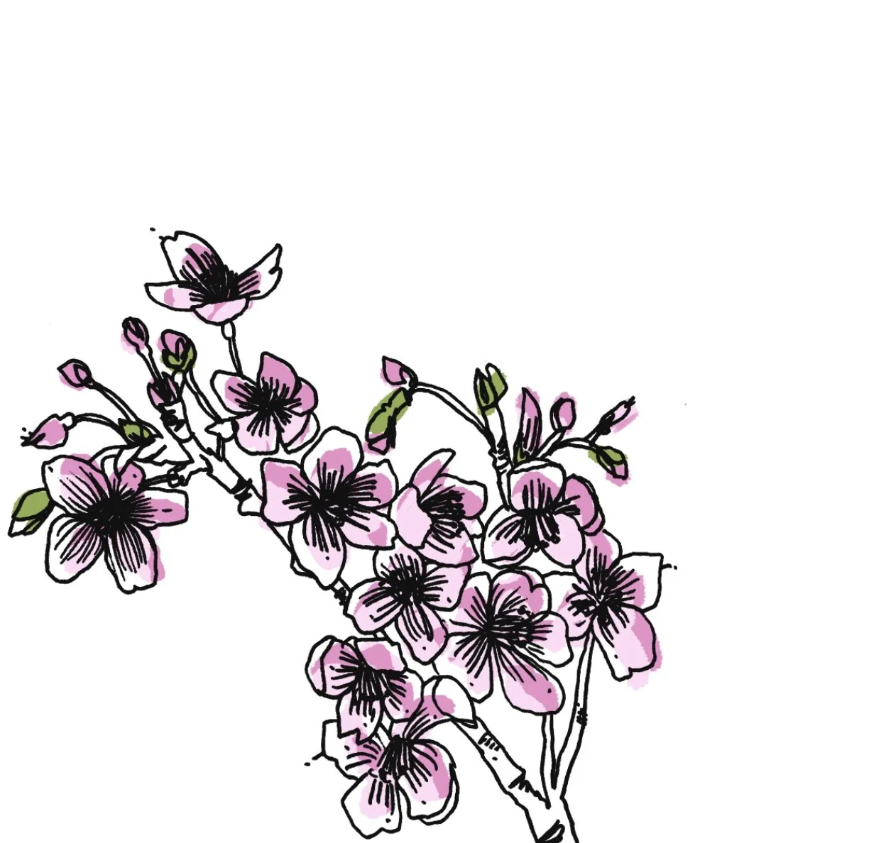 Happy Spring!