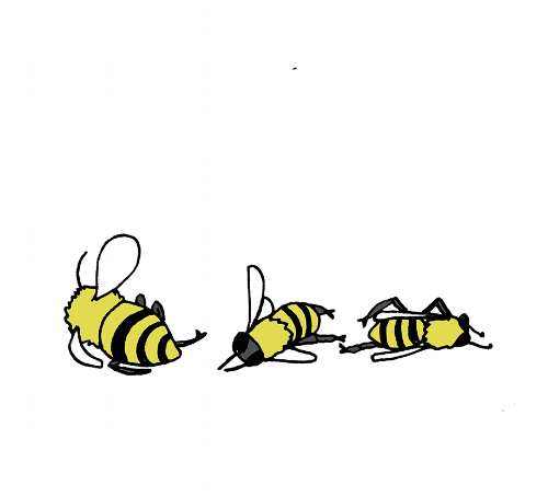 Truth About the Honey Bees