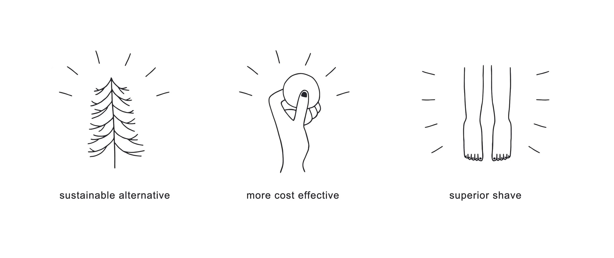 WEBSITE ILLUSTRATIONS FOR WELL KEPT, 2017