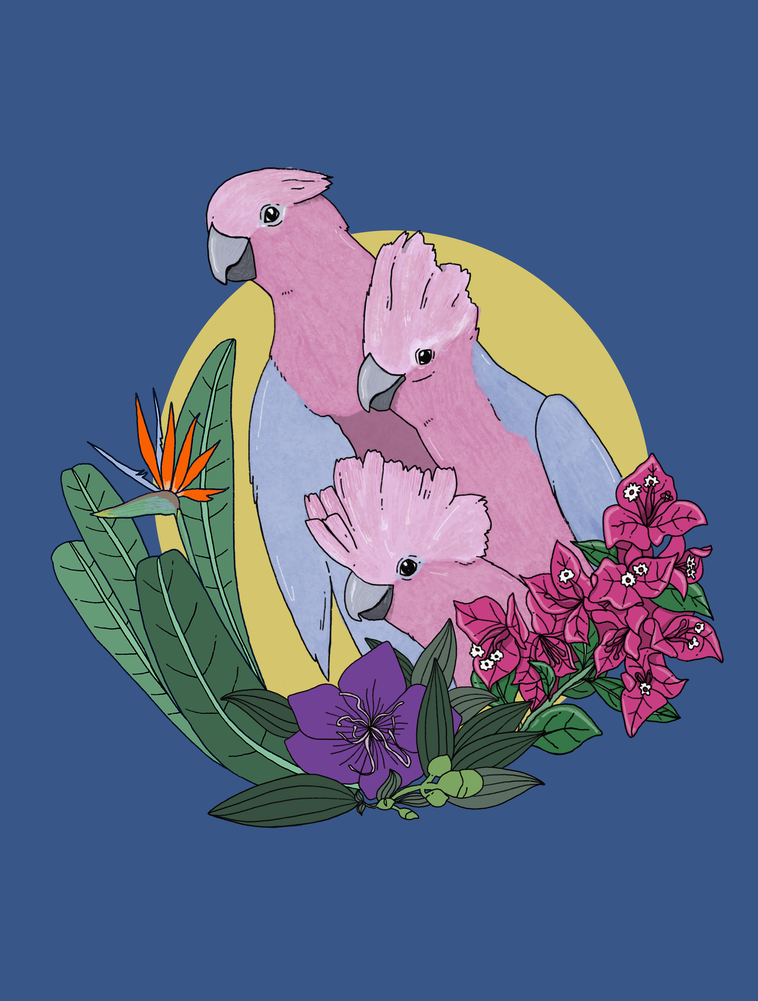 SarahCampbell-spirit-Galah.png