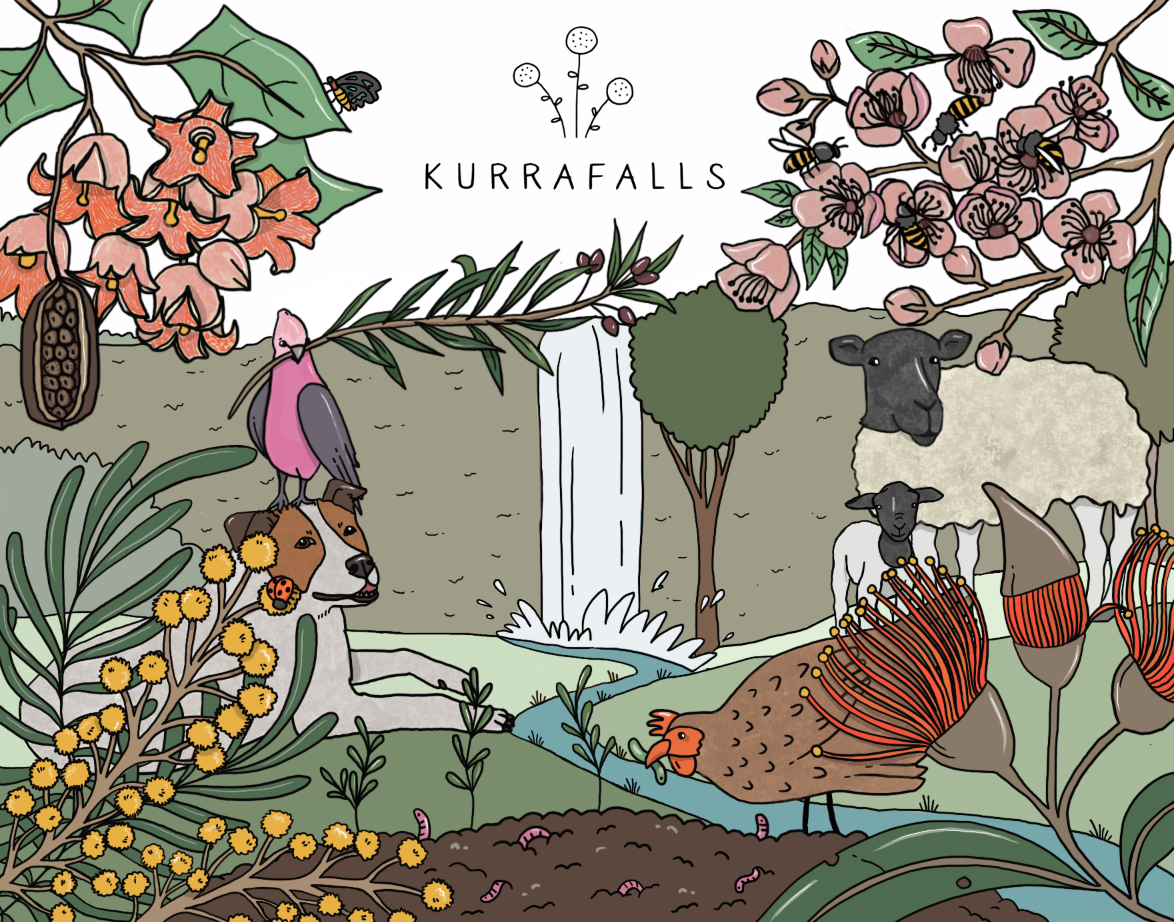 LabelKurrafalls.png