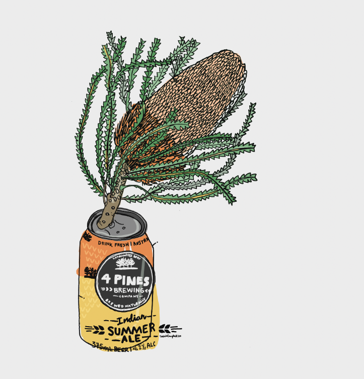 4 pines beer with Banksia illustration