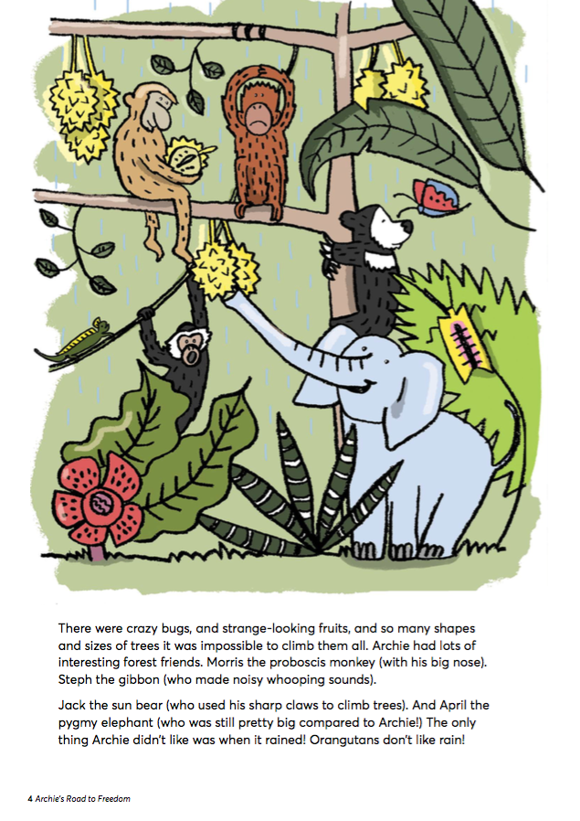 Archie’s Road to Freedom, children's book illustrations, orangutang