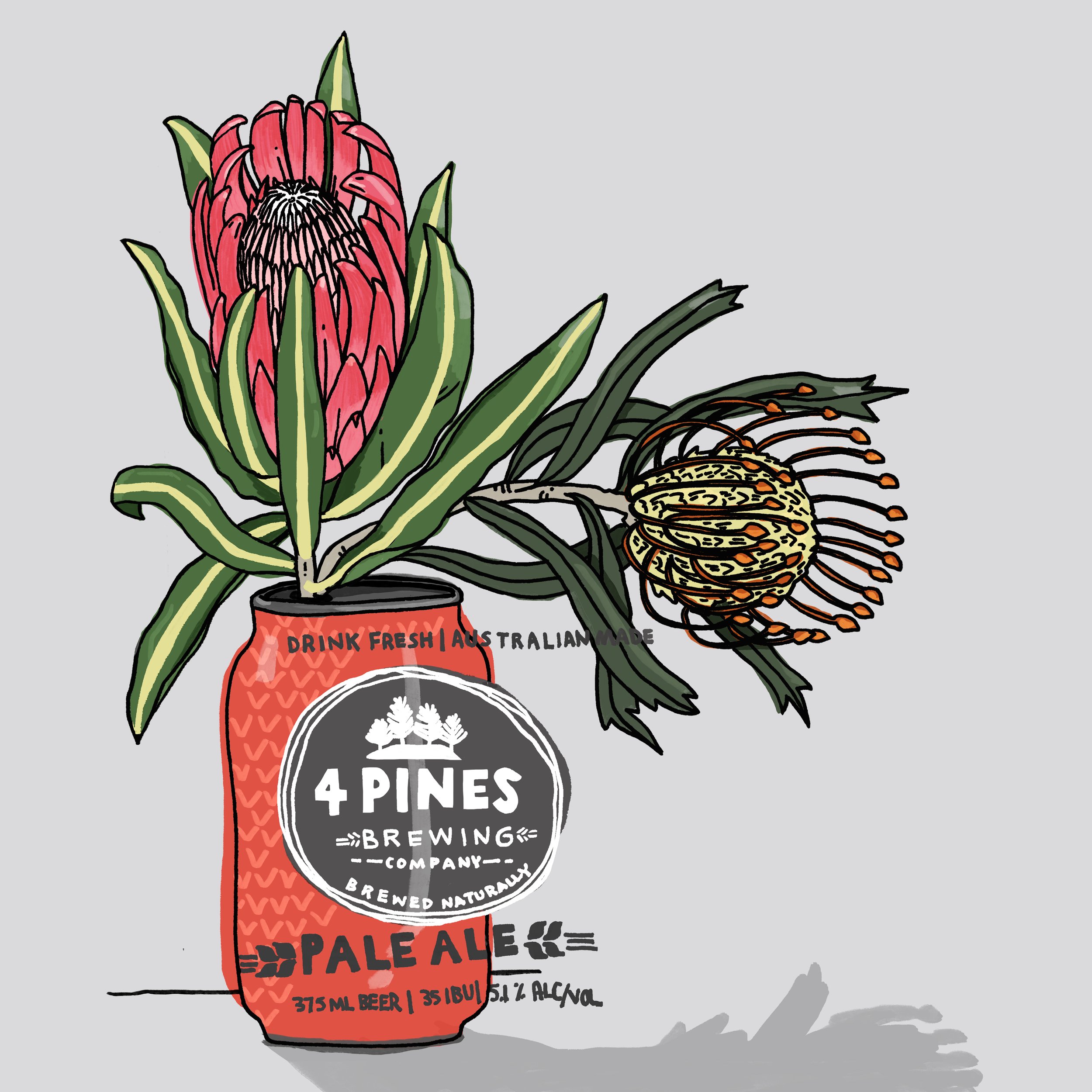 4 pines beer illustration with warratah and protea flowers.
