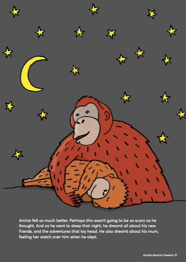 Archie’s Road to Freedom, children's book illustrations, orangutang