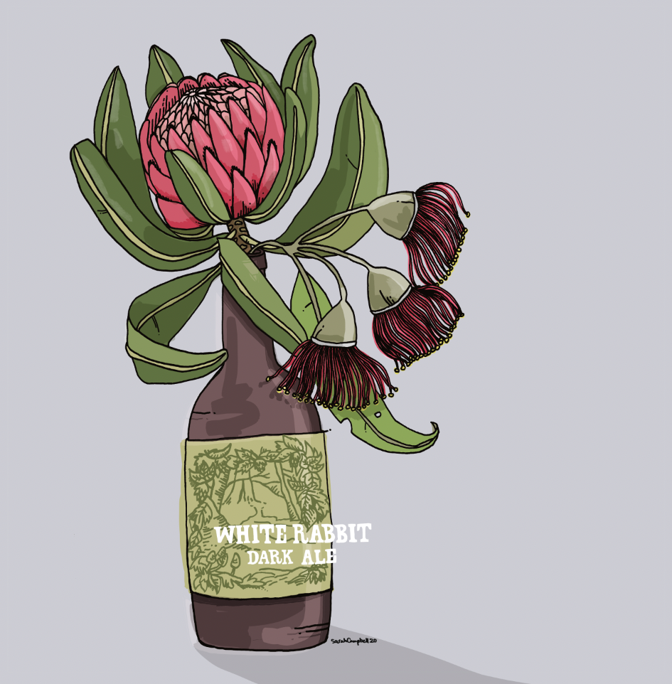 white rabbit beer with protea and eucalyptus illustration