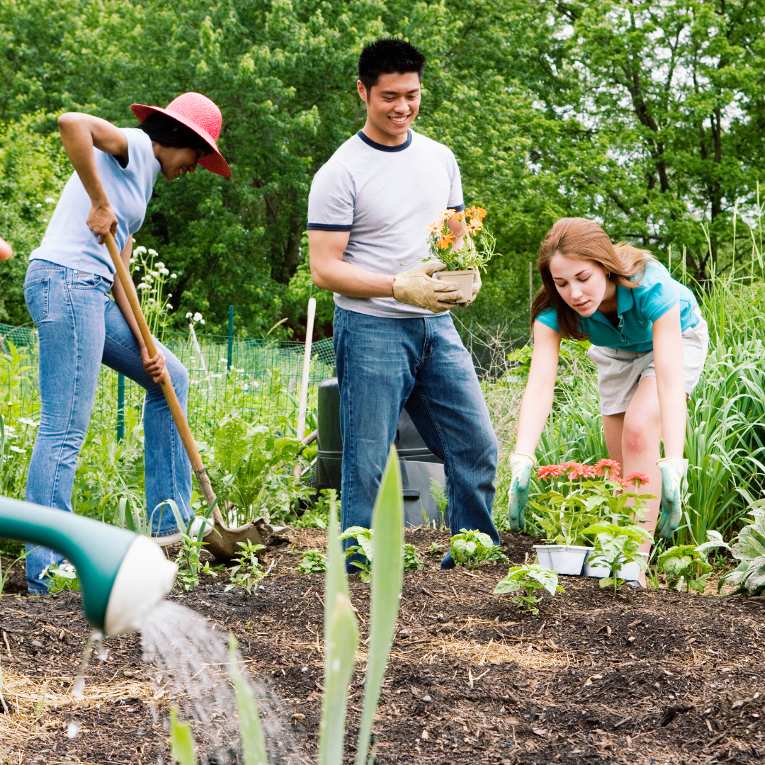 Comox Valley Community Foundation