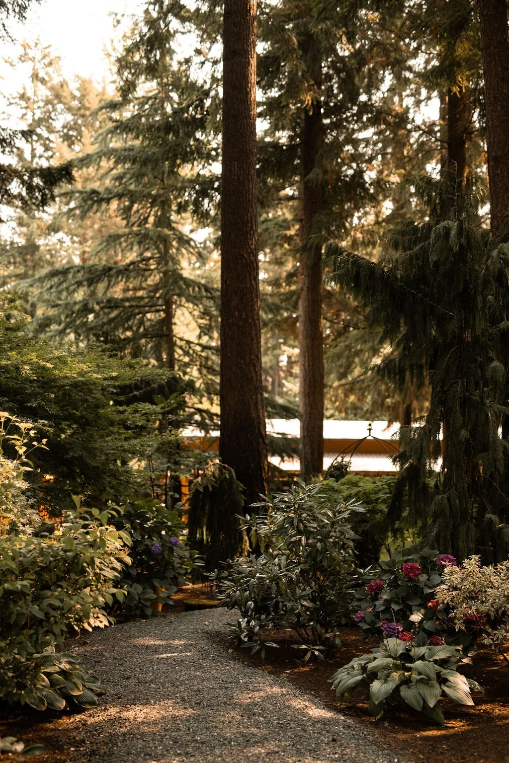 Evergreen Gardens, a forest wedding venue in Ferndale, WA