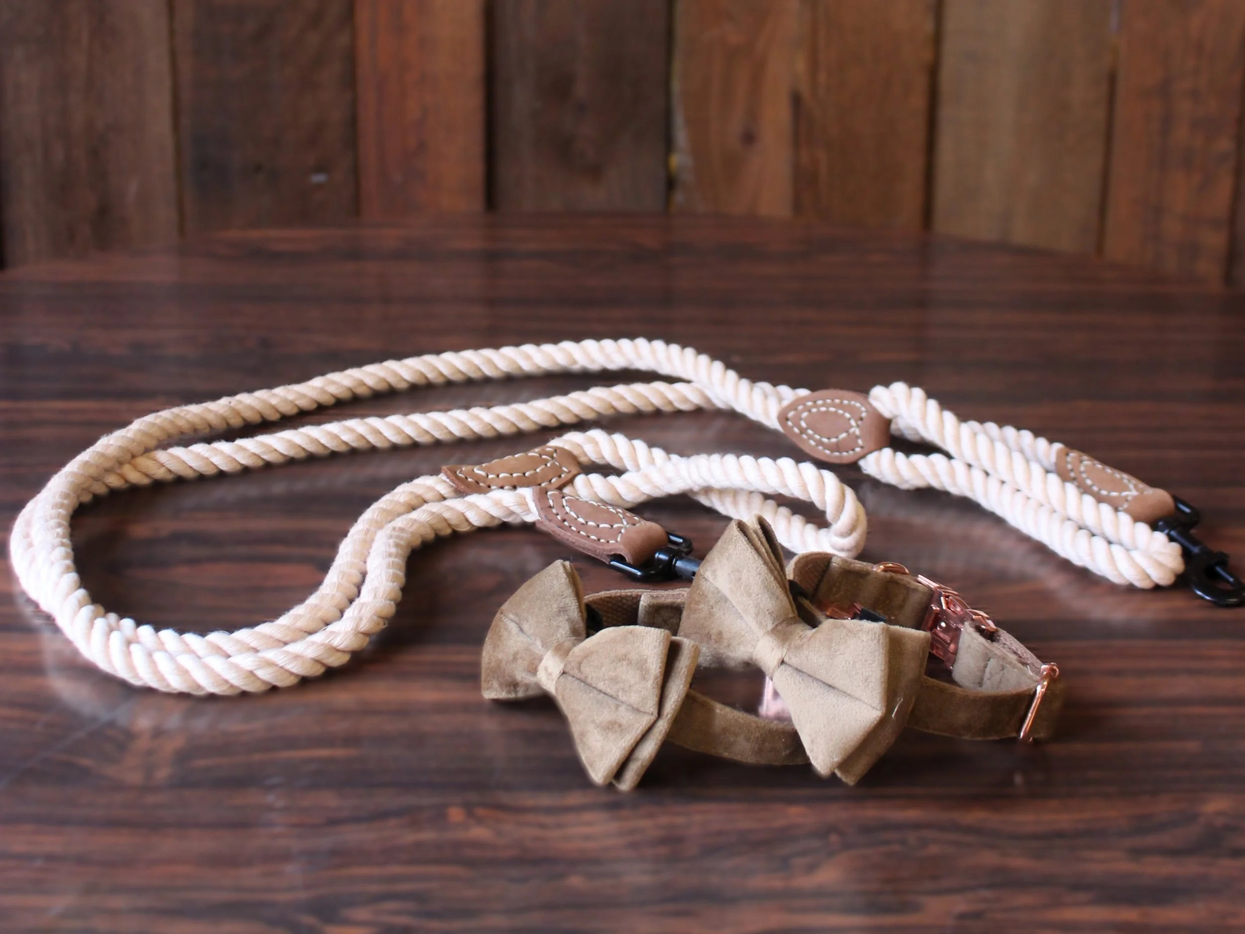 Small Dog Collar & Rope Leash, 2 count