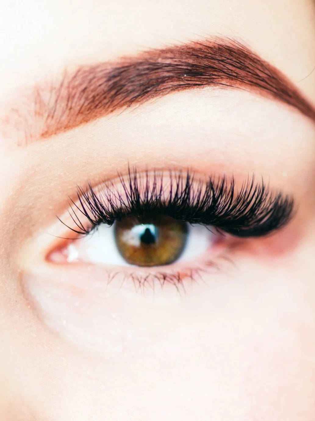 Eyelash+extension+zoomed+in.jpg