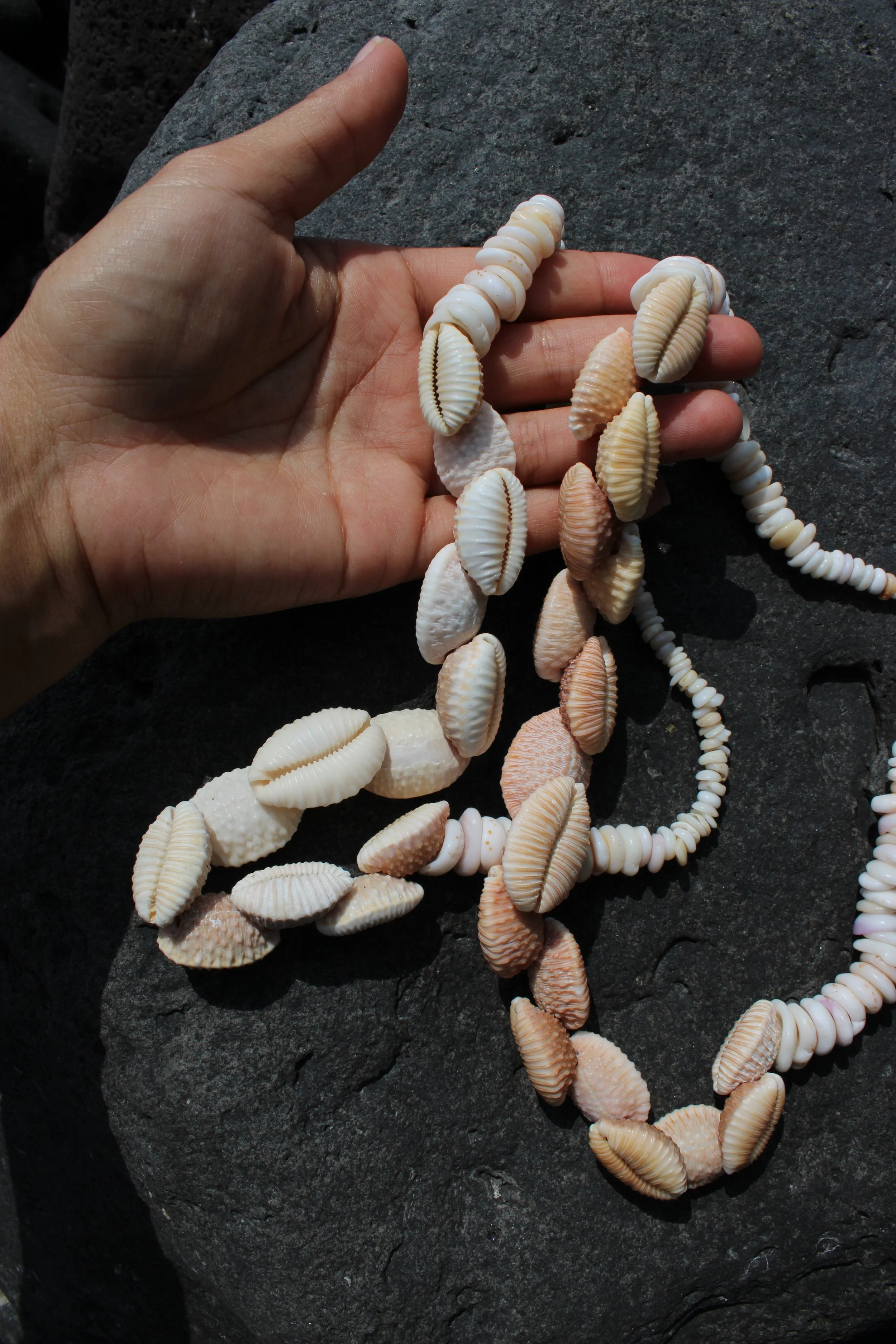 Granulated cowrie + Puka shell necklaces