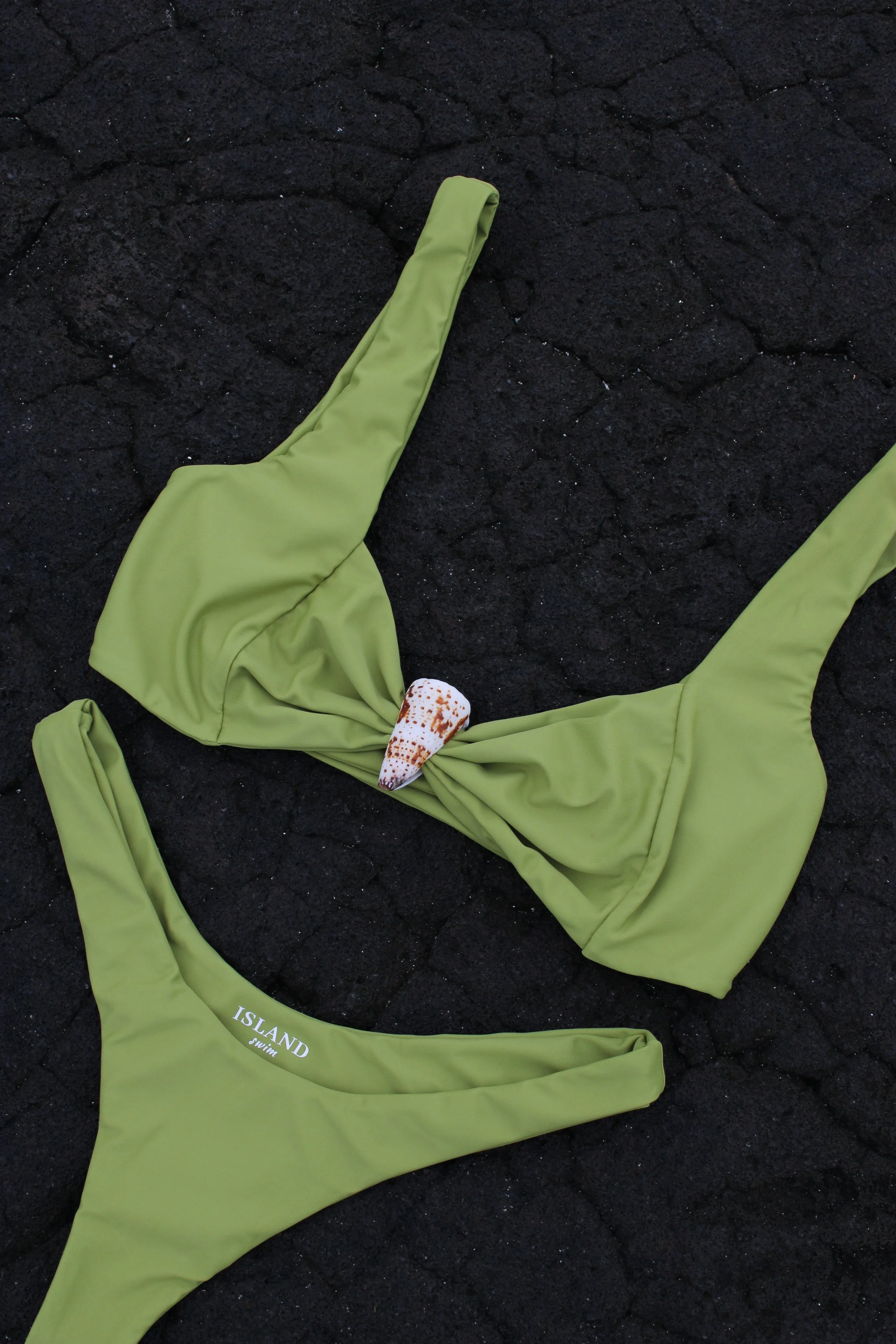 Imperial cone shell top - Lime