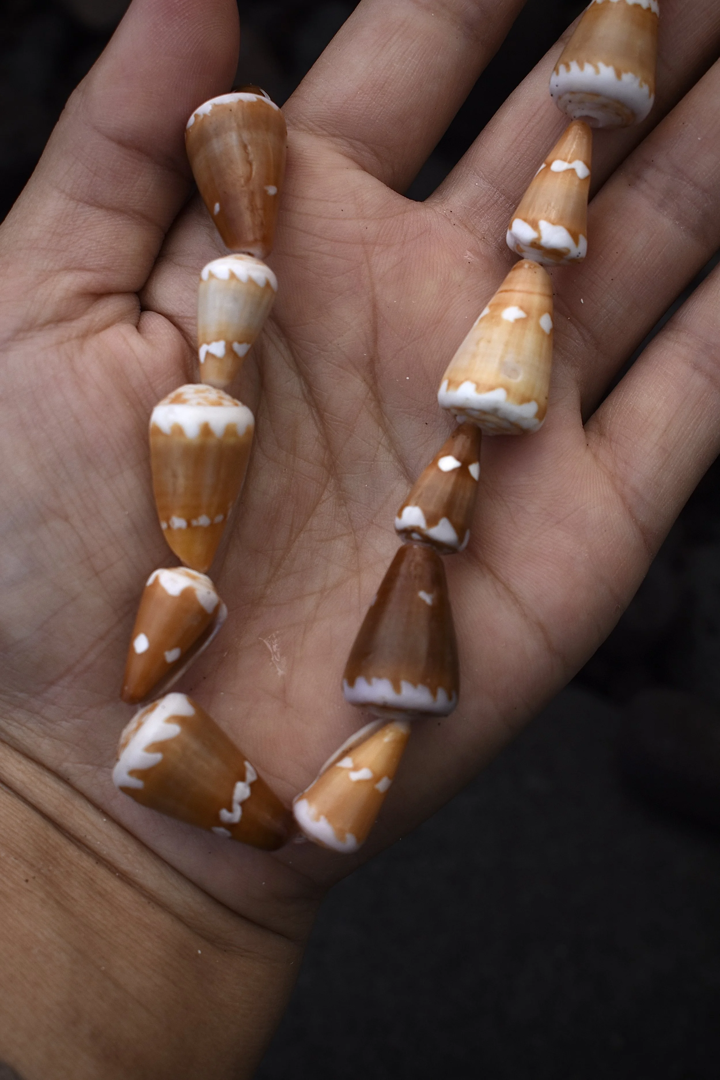 Medium and small Hieroglyph cone shell necklace
