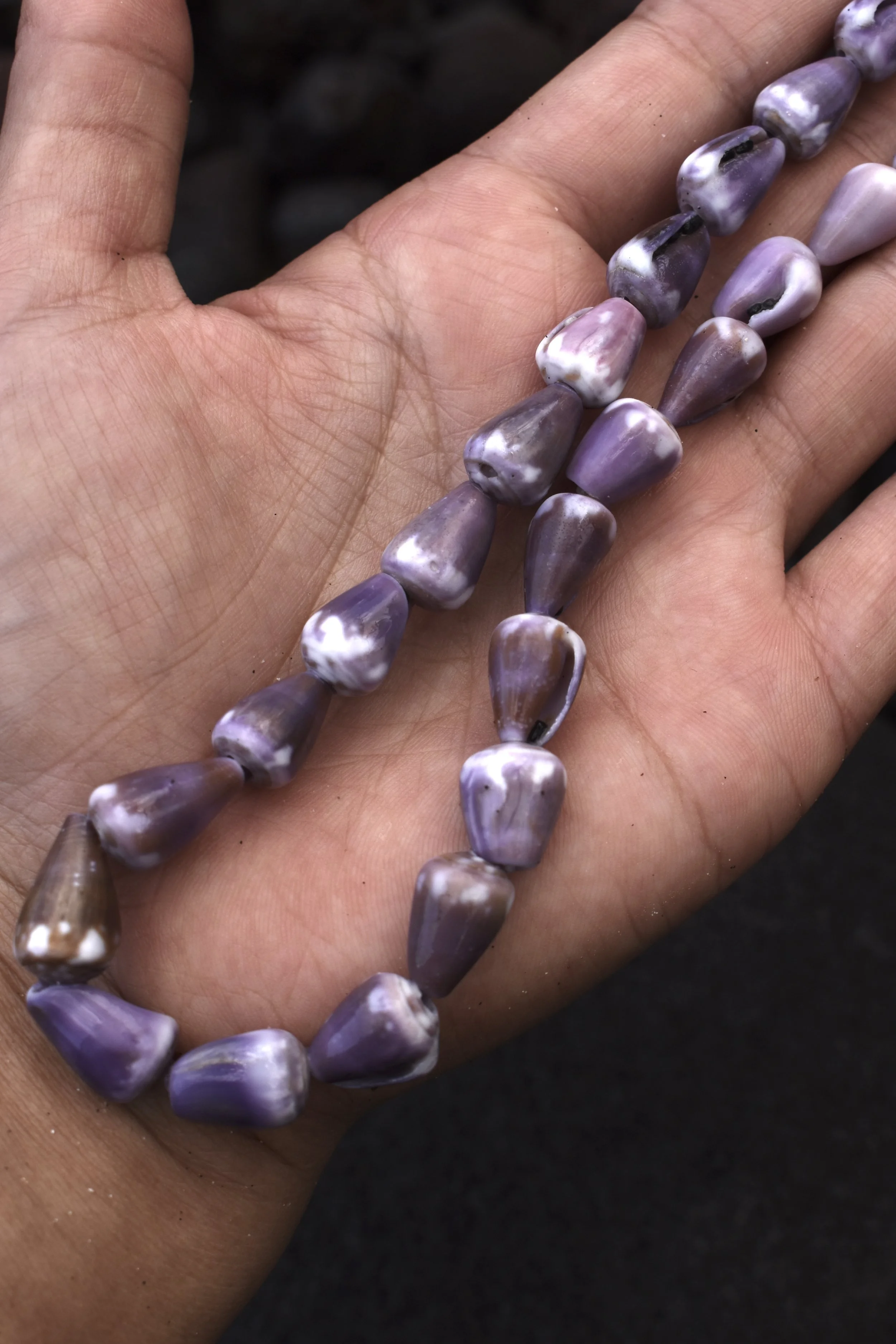 Mini I’ole cone shell necklace