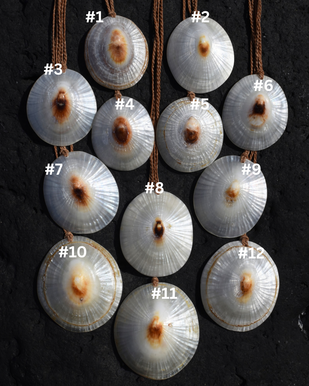 Merrie monarch in person + Online SALE.png