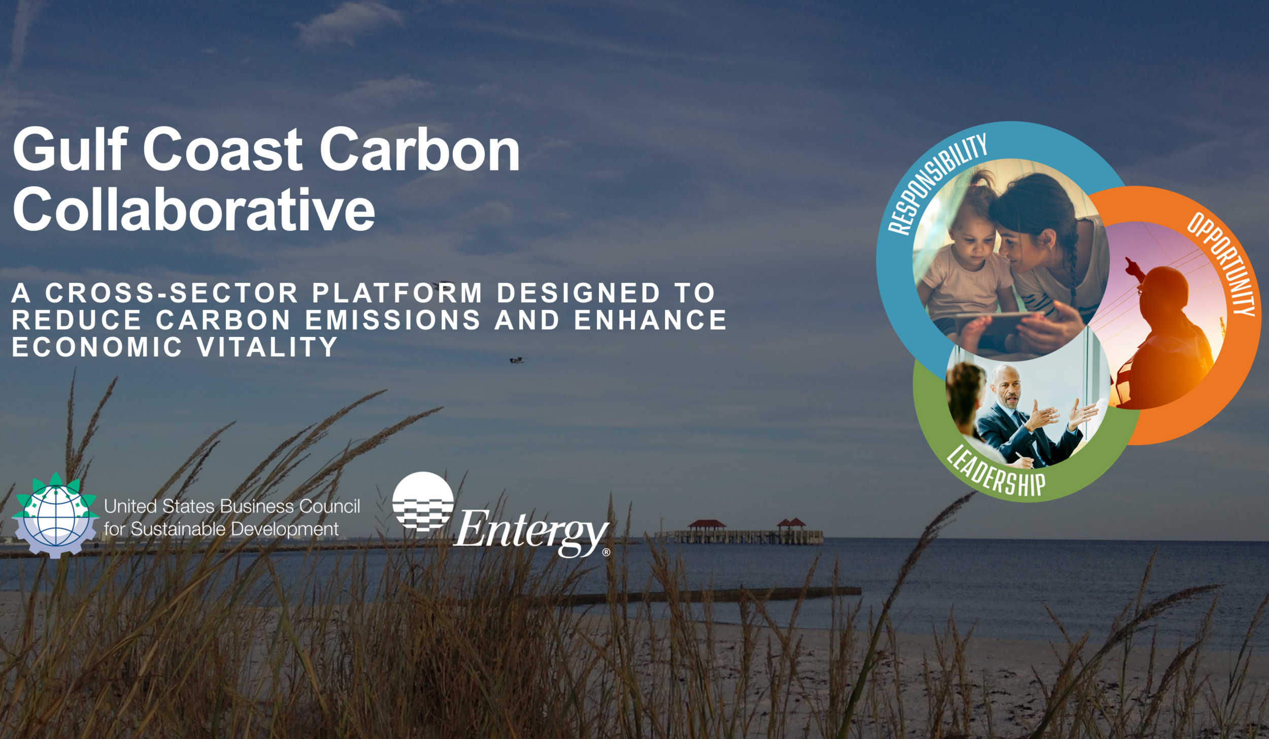 Cross-Industry Gulf Coast Coalition To Tackle Carbon Emissions