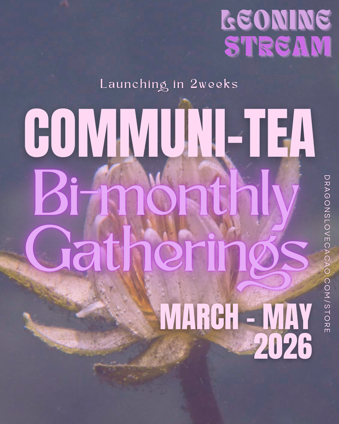 COMMUNITEA BI-MONTHLY GATHERINGS- 3 Month Membership (March-May 2026)