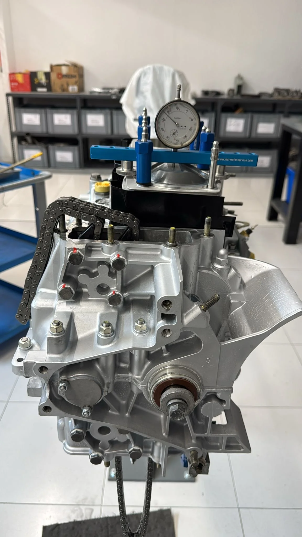 WhatsApp Image 2025-06-10 at 14.17.43.jpeg