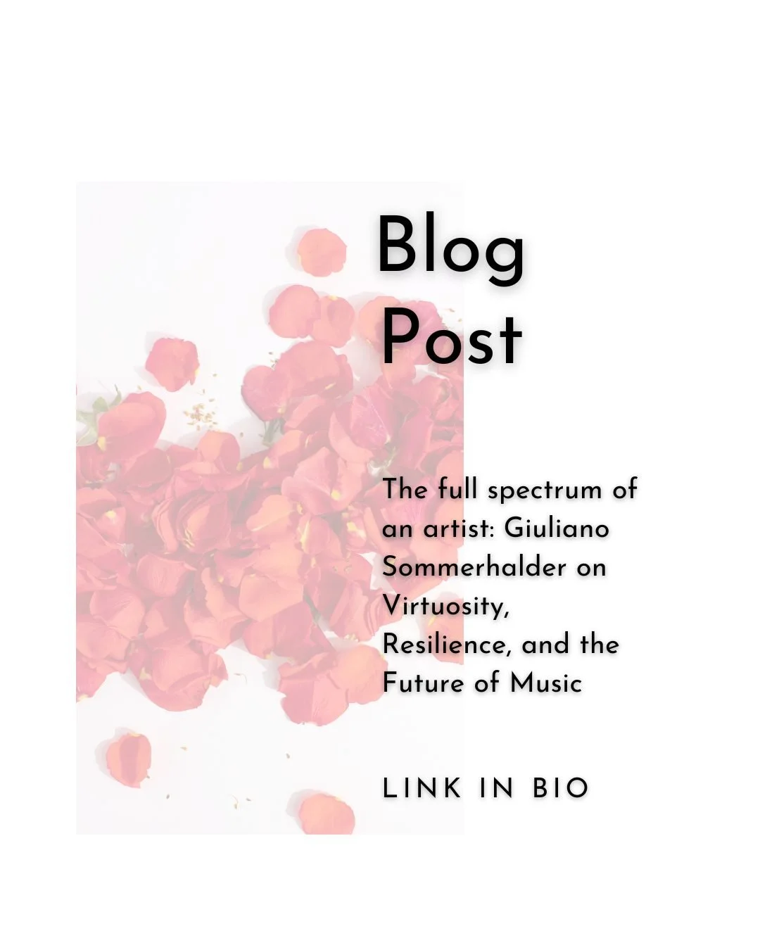 New Blogpost about the spectrum of an artist based on my conversation with Giuliano Sommerhalder about virtuosity, resilience, and the future of music.

LINK IN BIO!

#followyourmusic #musicianlife #wienerphilharmoniker #wienerphilharmonikerorchestra