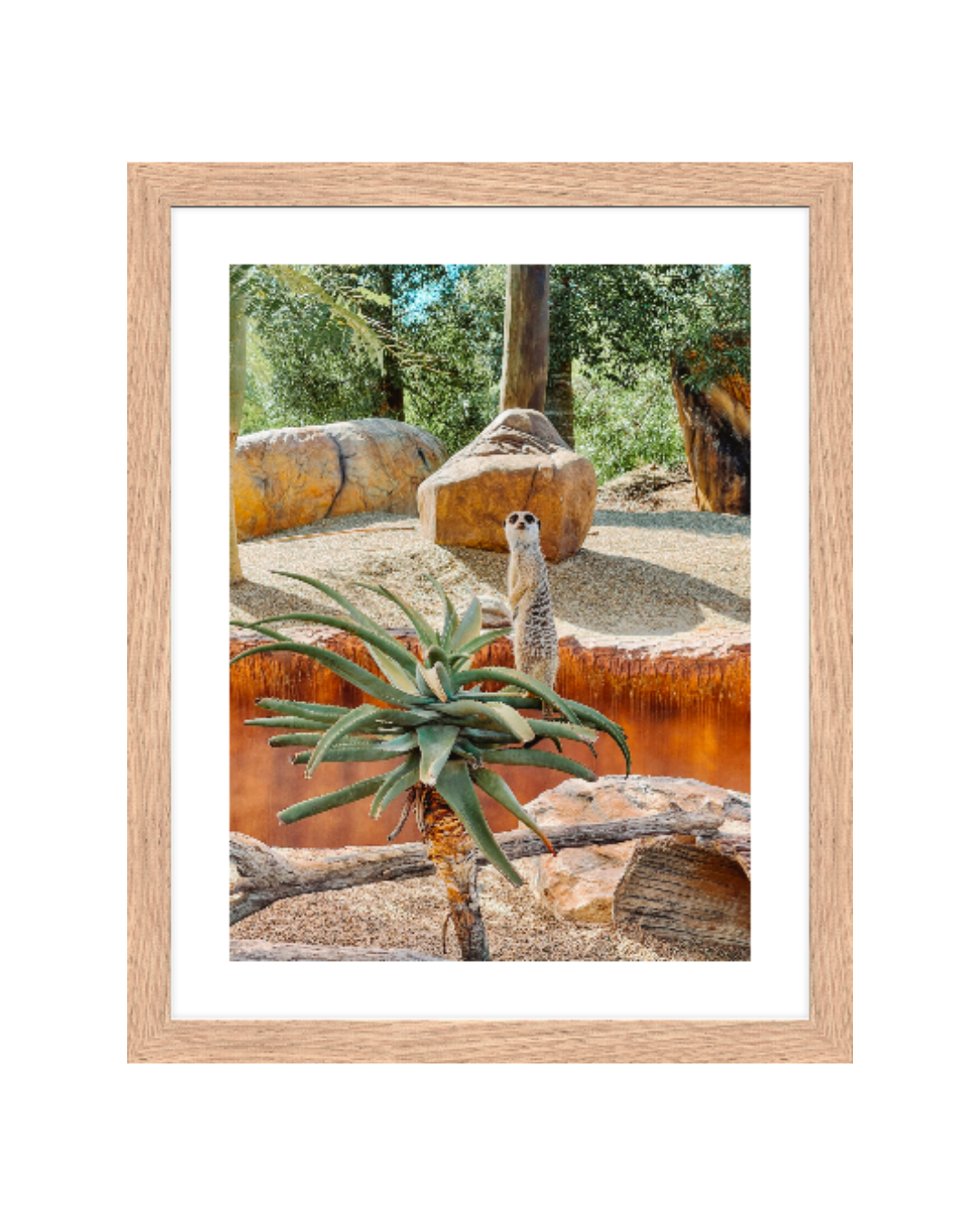 Lookout Framed 11x14 Oak Insta.png