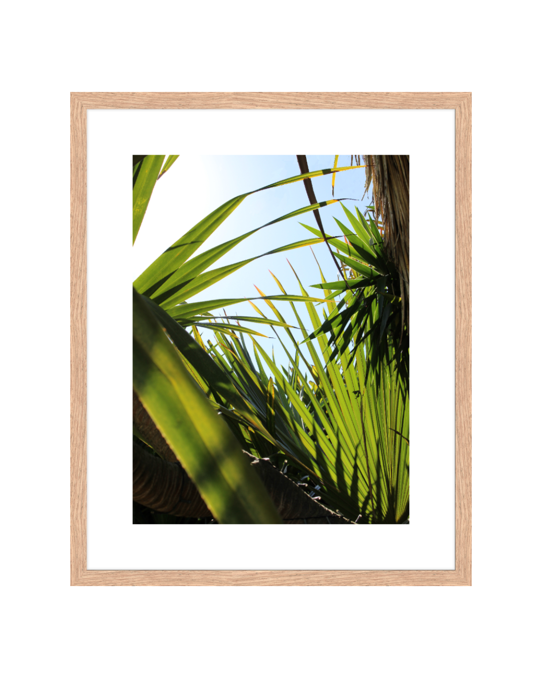 Jungle Framed 16x20 Oak Insta.png