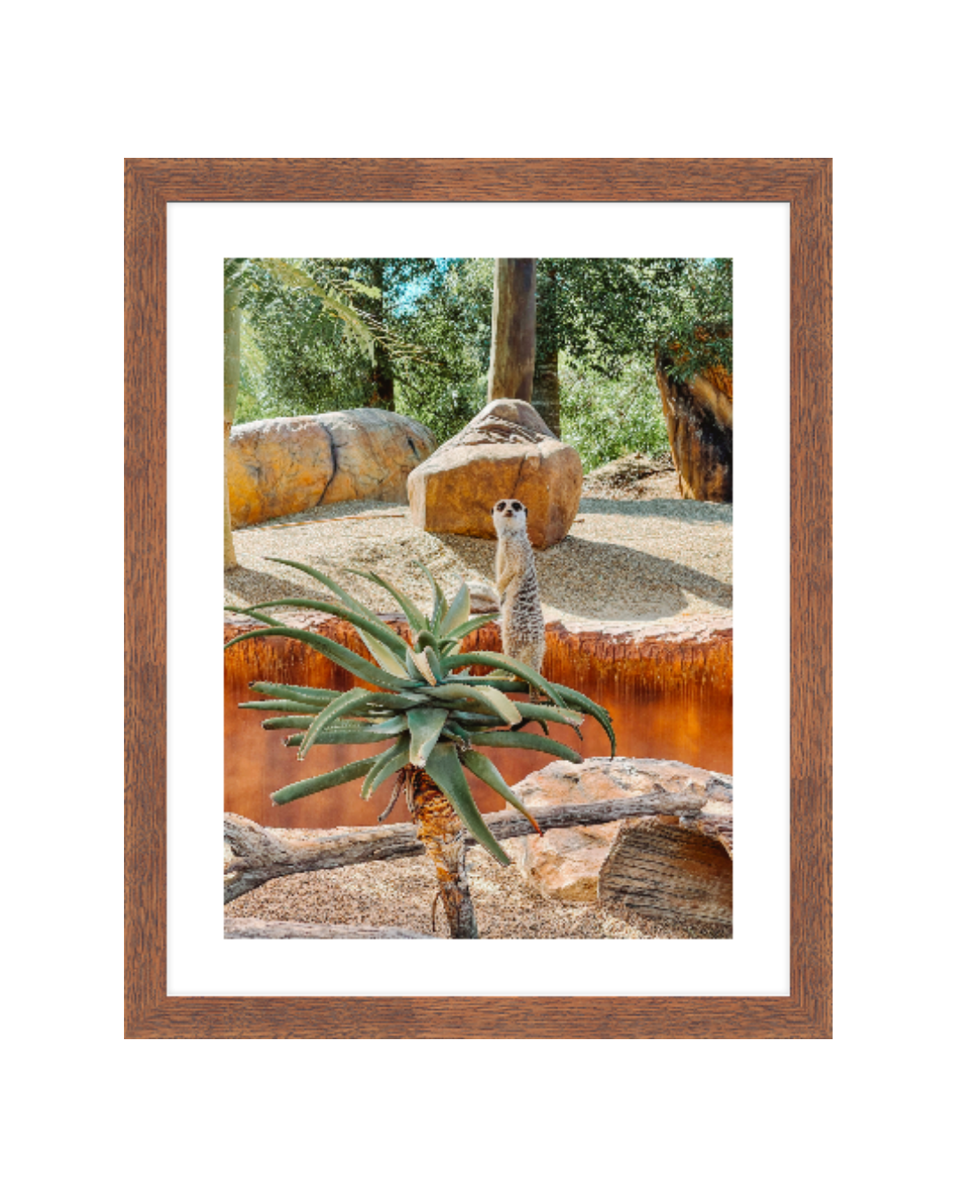 Lookout Framed 11x14 Walnut Insta.png