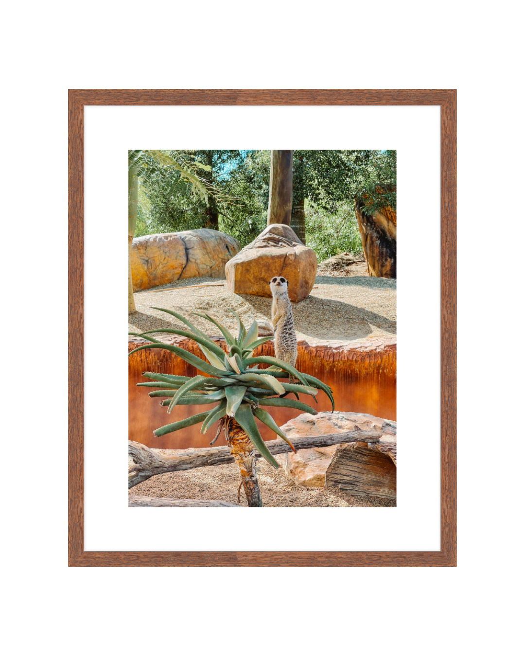 Lookout Framed 16x20 Walnut Insta.png