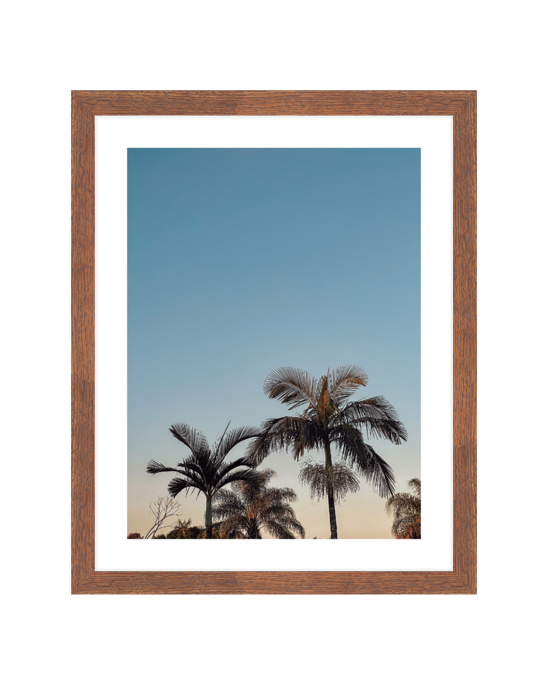 Paradise Palms Framed 11x14 Walnut Insta.png