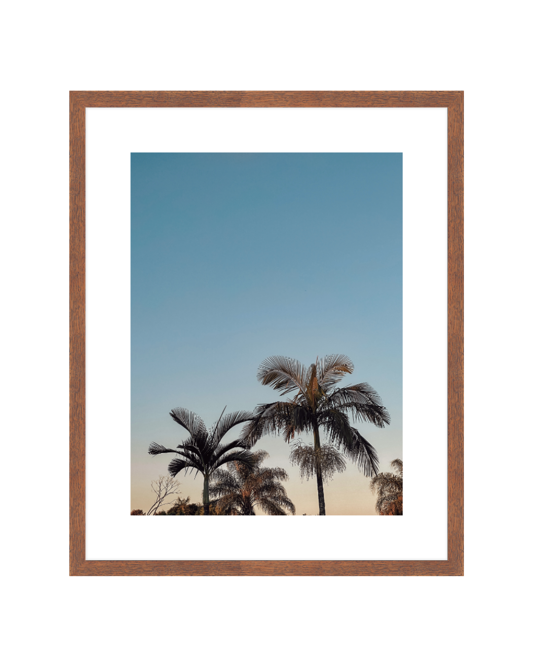 Paradise Palms Framed 16x20 Walnut Insta.png
