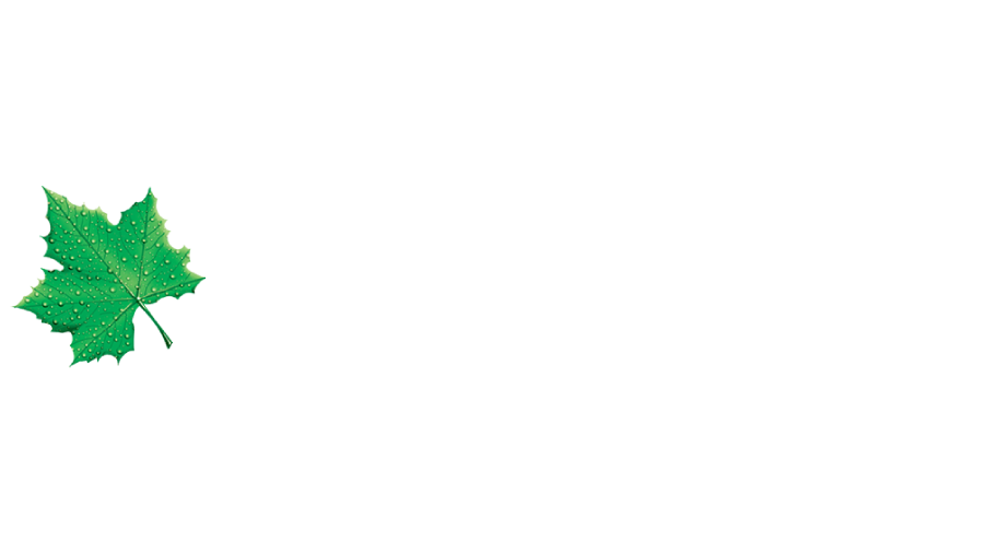 reno-vest