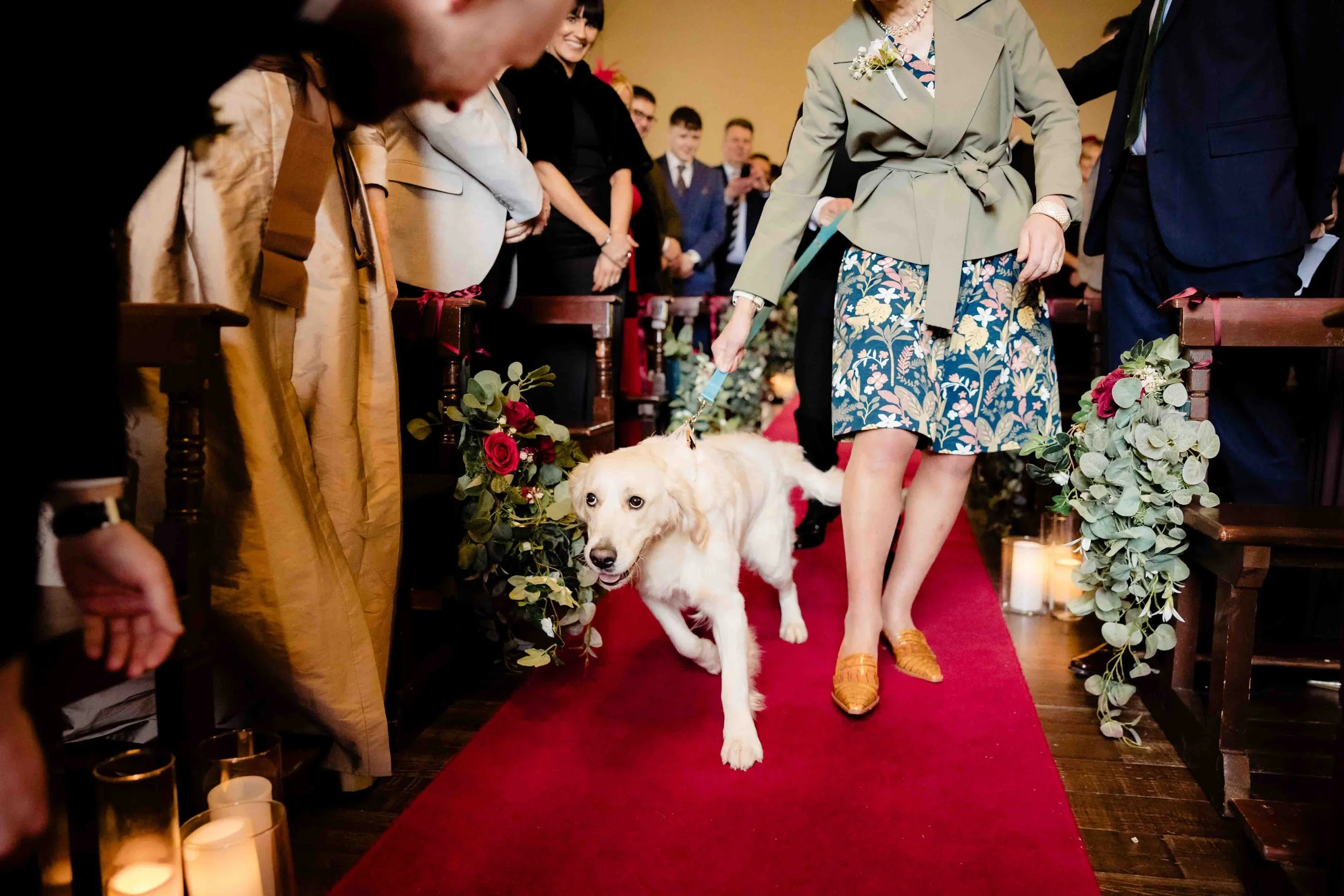 Dog walking rings down the aisle BrookLodge wedding