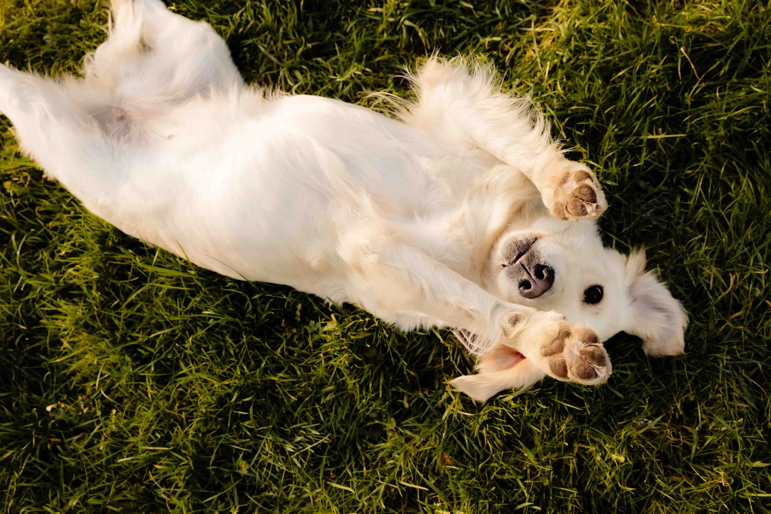 6.Brooklodge-macreddin-wedding-photography-best wedding photographer-4.jpg