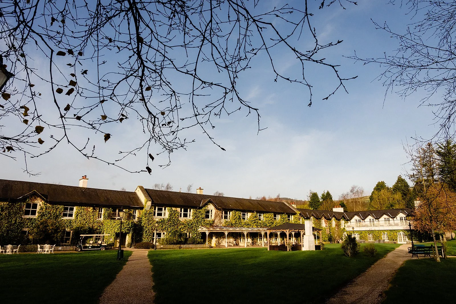 brooklodge macreddin wedding photo of building with branches framining the blue sky