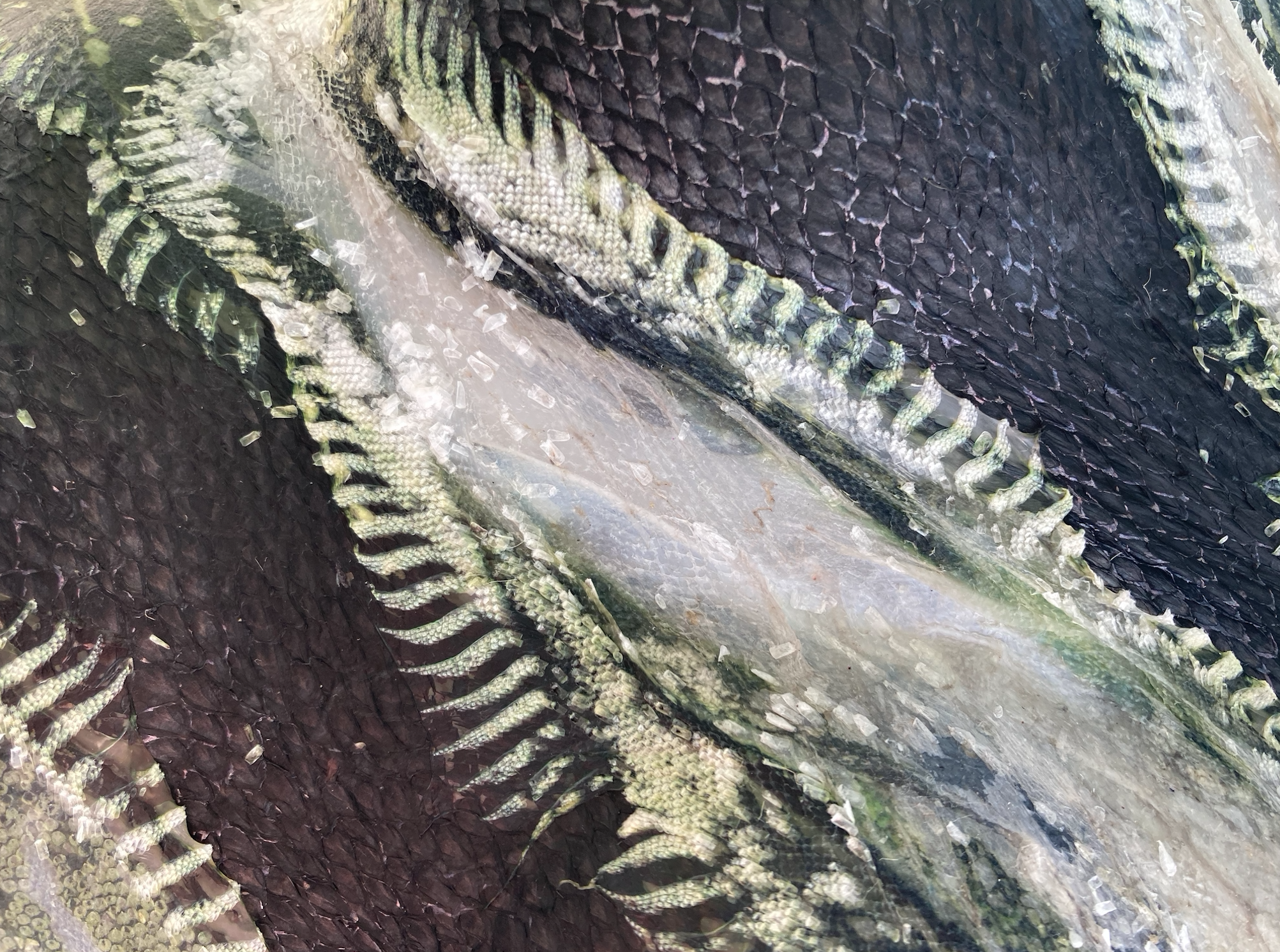 Screenshot 2025-05-28 at 13.10.02.png