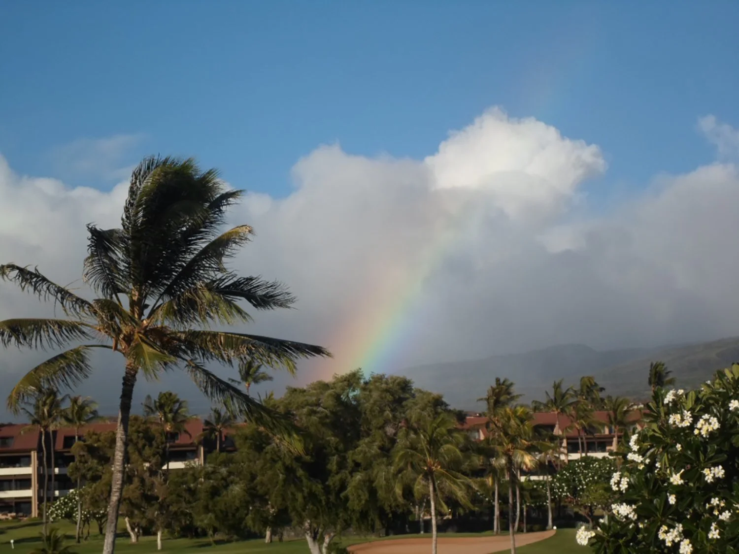 Hyatt Regency Maui Hawaii Review - Part One