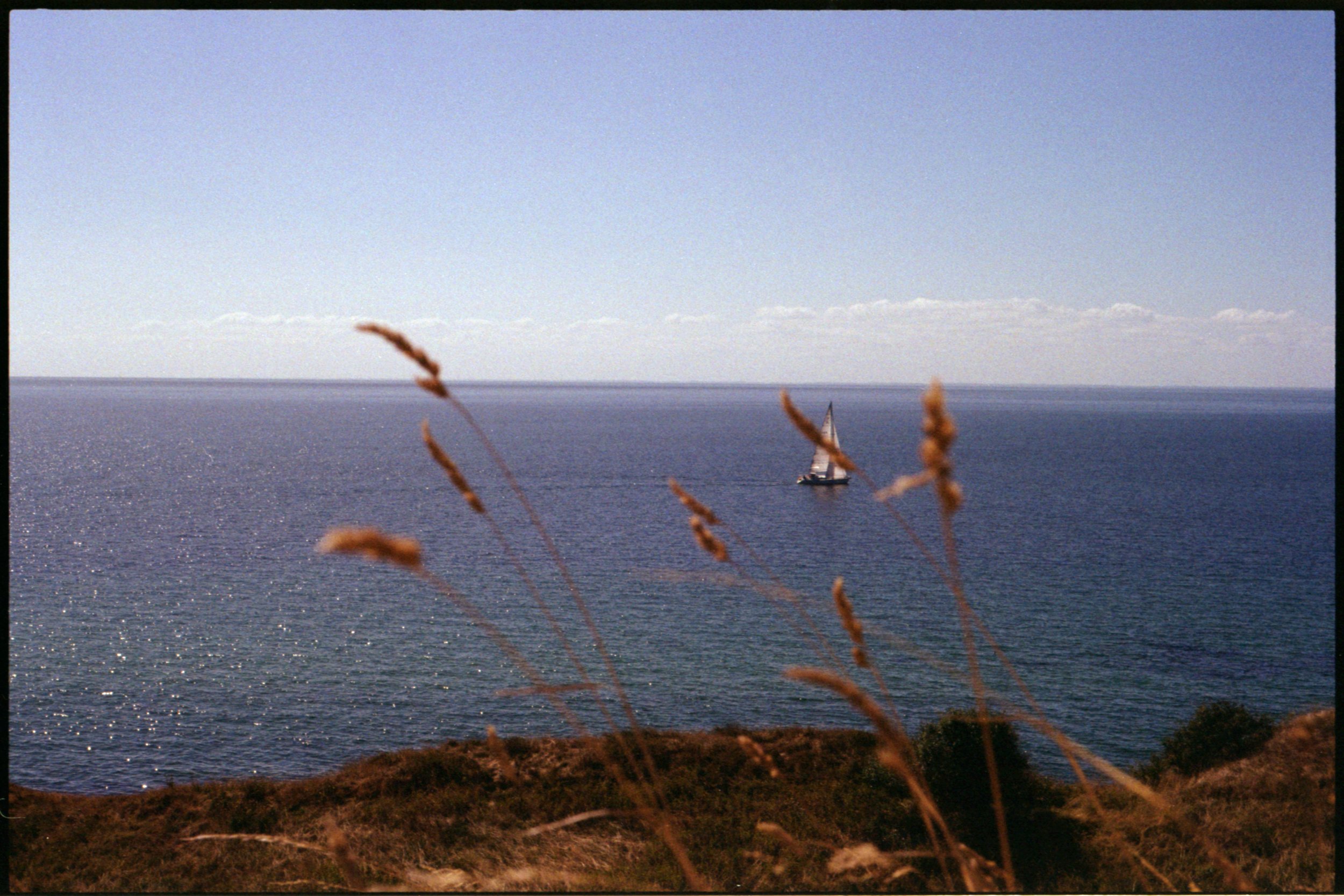 2026-08-25 Dänemark FE2_KodakColorPlus200_16.jpg